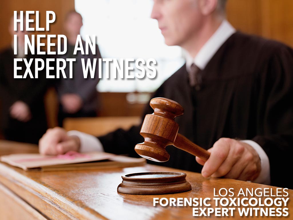 What Exactly Is An Expert Witness Do I Need One 